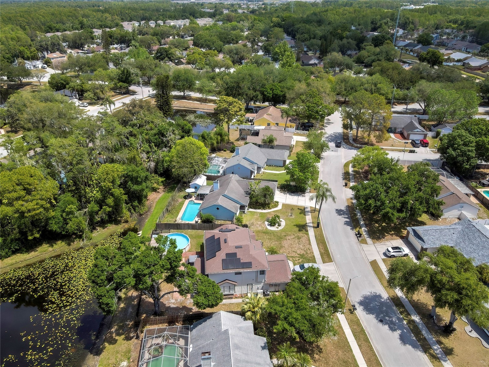 7451 Swan Lake Drive New Port Richey FL 34655 W7884798 image49