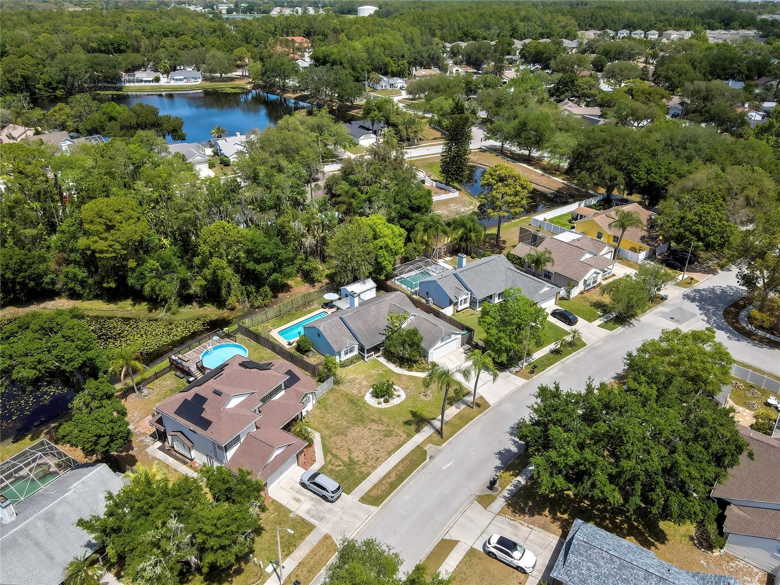 7451 Swan Lake Drive New Port Richey FL 34655 W7884798 image50