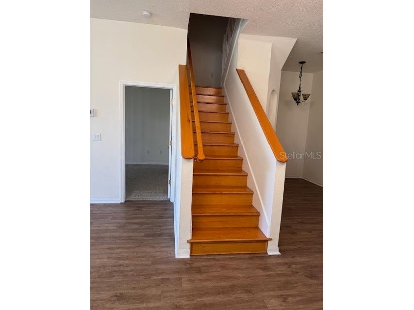 7451 Wimpole Drive New Port Richey FL 34655 W7883861 image20