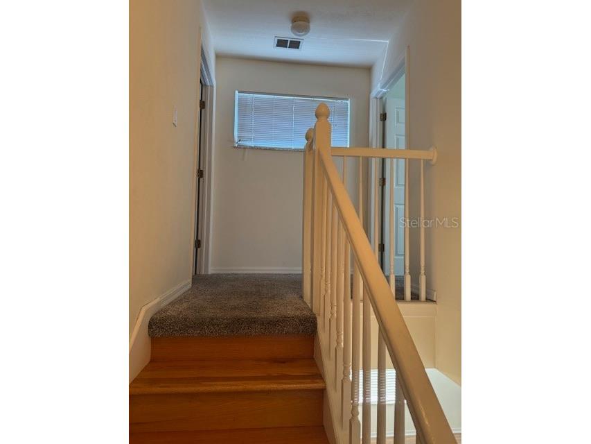 7451 Wimpole Drive New Port Richey FL 34655 W7883861 image21