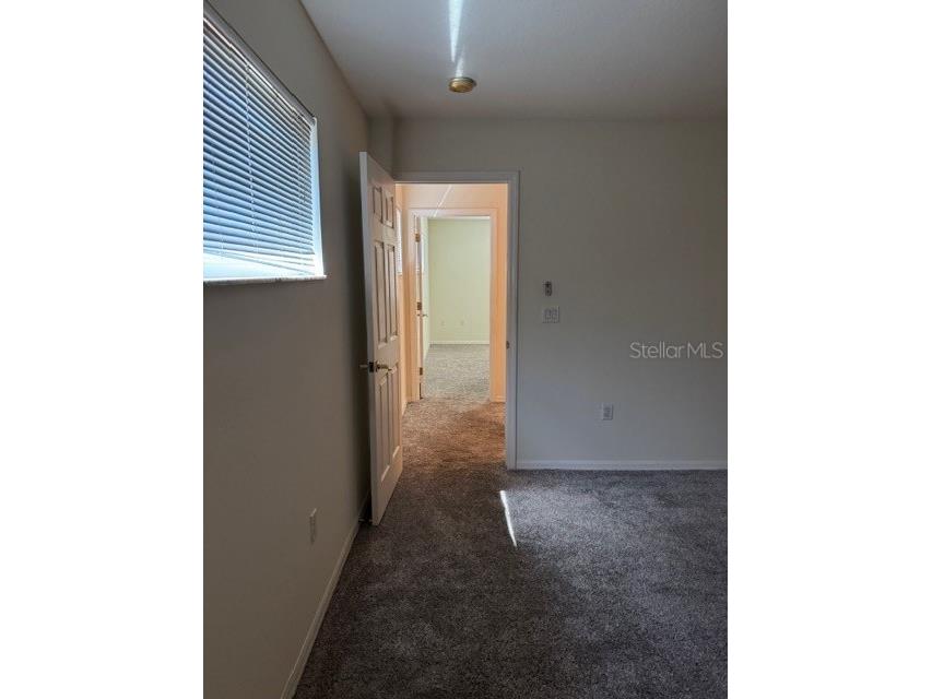 7451 Wimpole Drive New Port Richey FL 34655 W7883861 image23