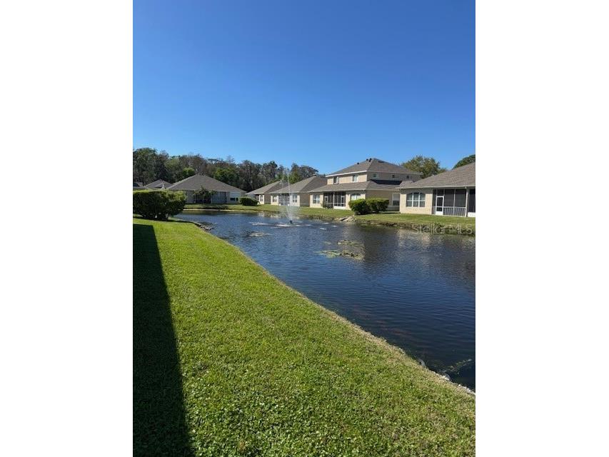 7451 Wimpole Drive New Port Richey FL 34655 W7883861 image42