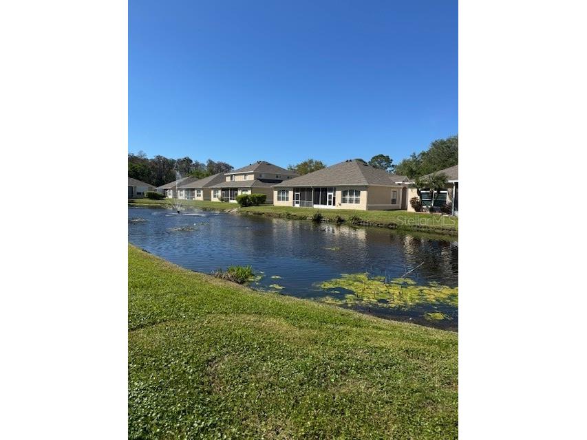 7451 Wimpole Drive New Port Richey FL 34655 W7883861 image43