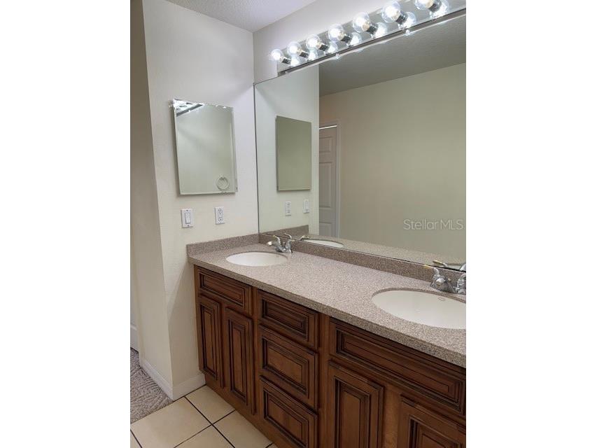 7451 Wimpole Drive New Port Richey FL 34655 W7883861 image5