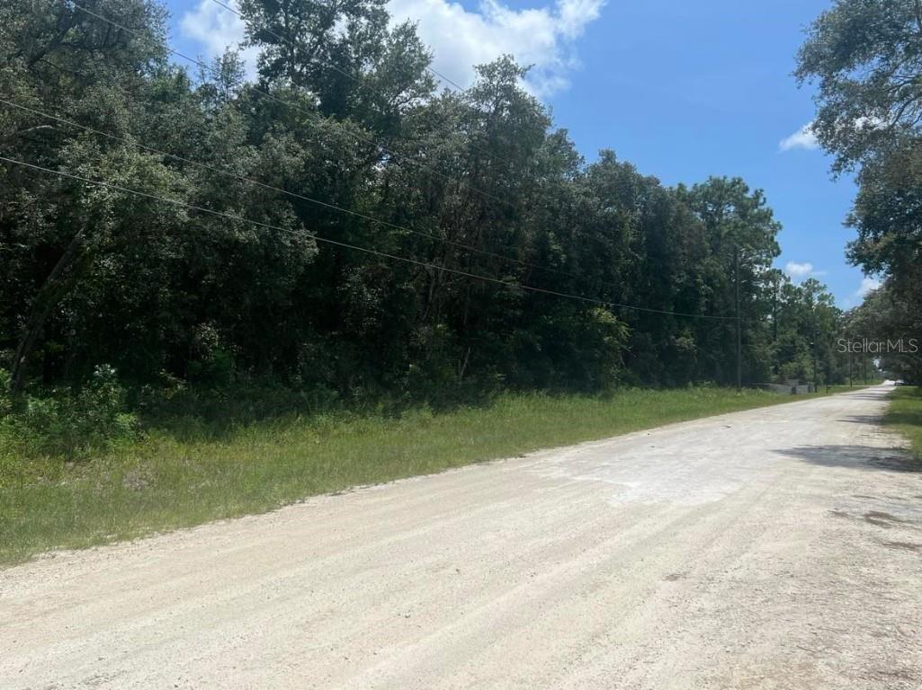 7452 Glenchester Drive Webster FL 33597 U8210701 image1