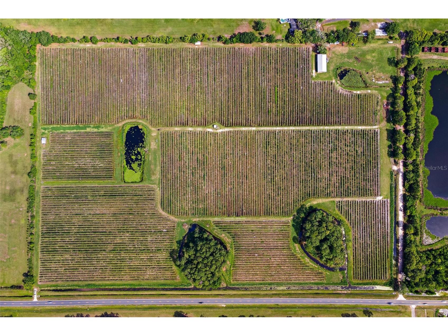7453 Jones Avenue Mount Dora FL 32757 G5110768 image10