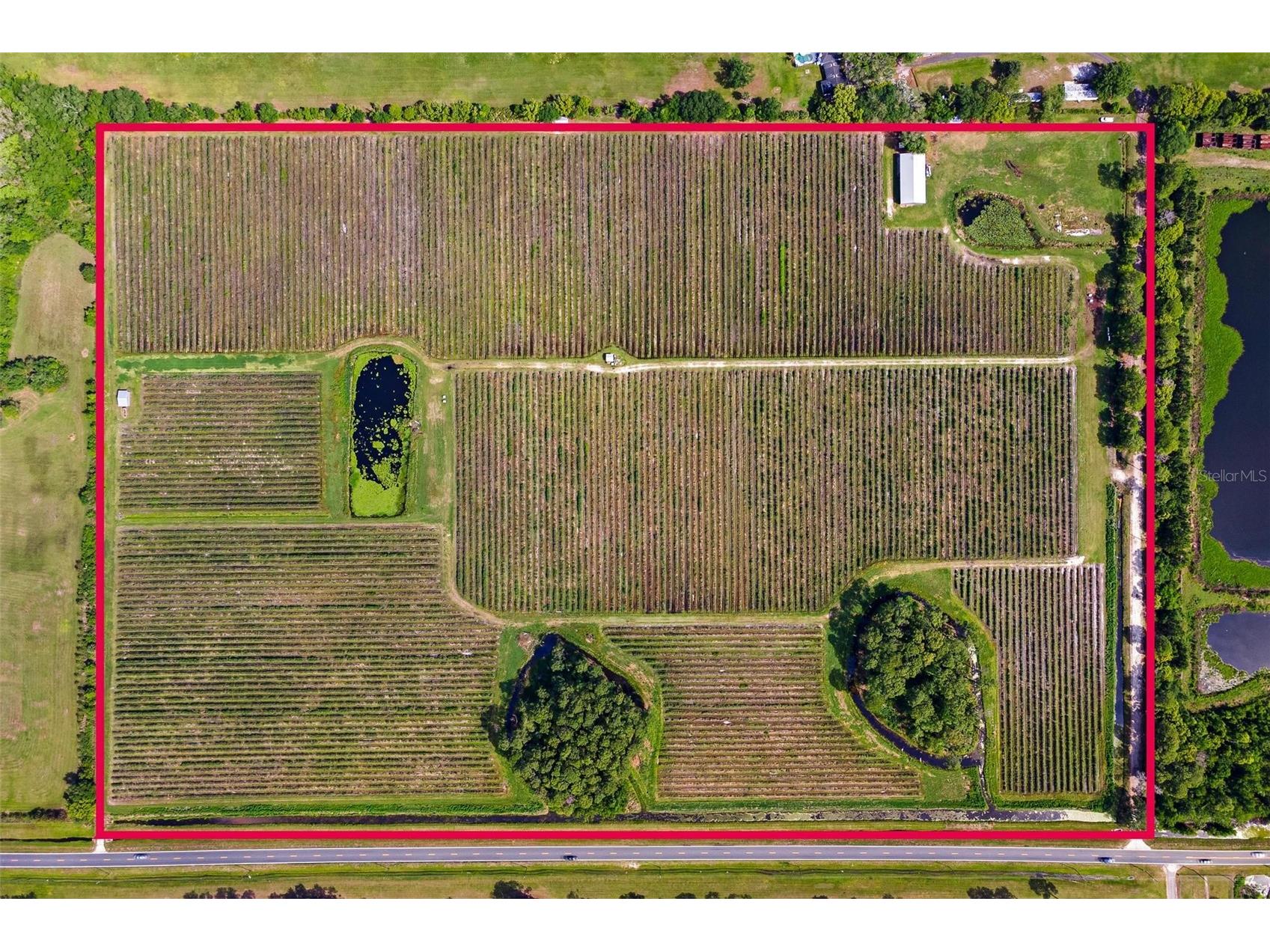 7453 Jones Avenue Mount Dora FL 32757 G5110768 image2