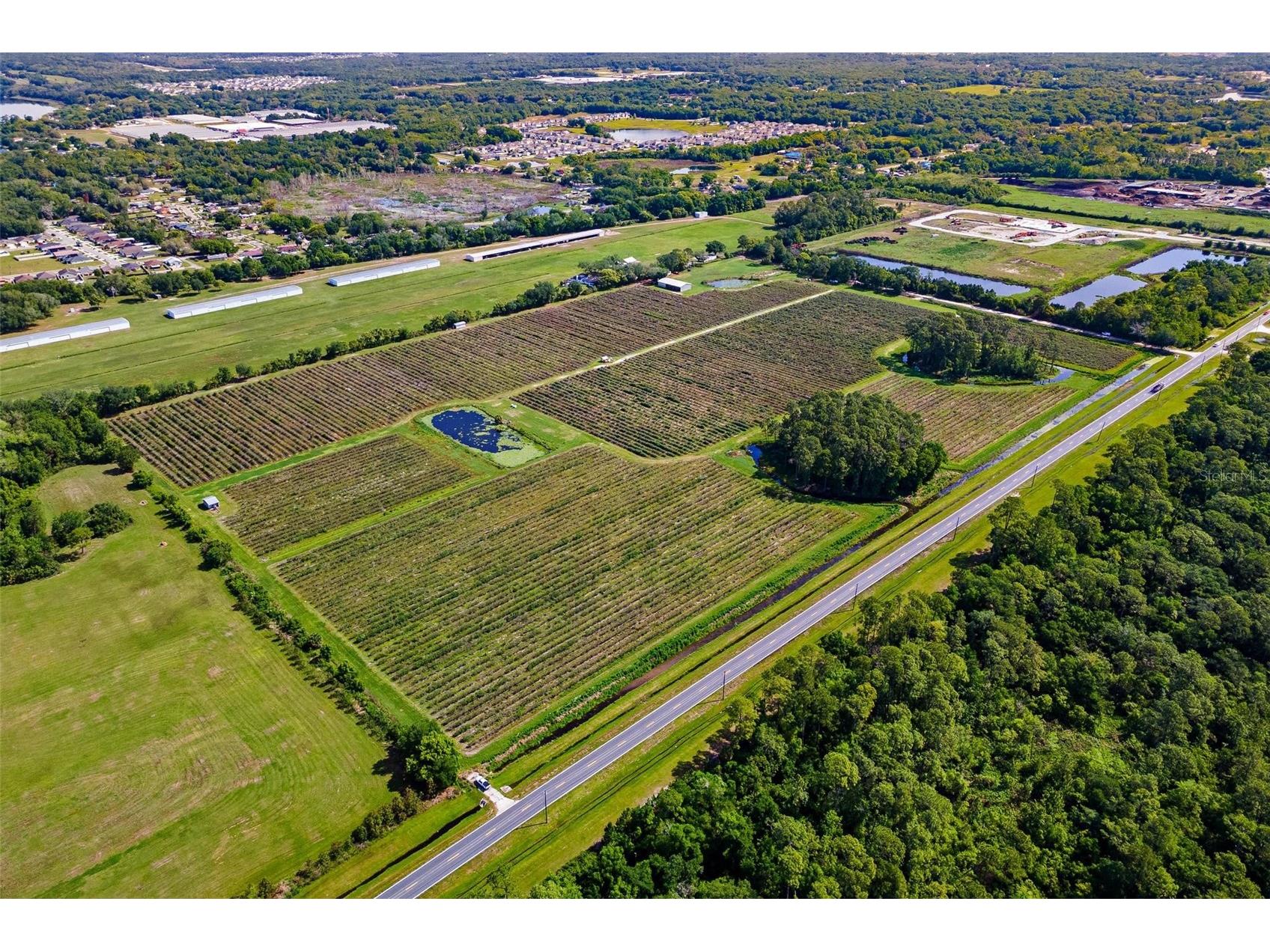 7453 Jones Avenue Mount Dora FL 32757 G5110768 image3