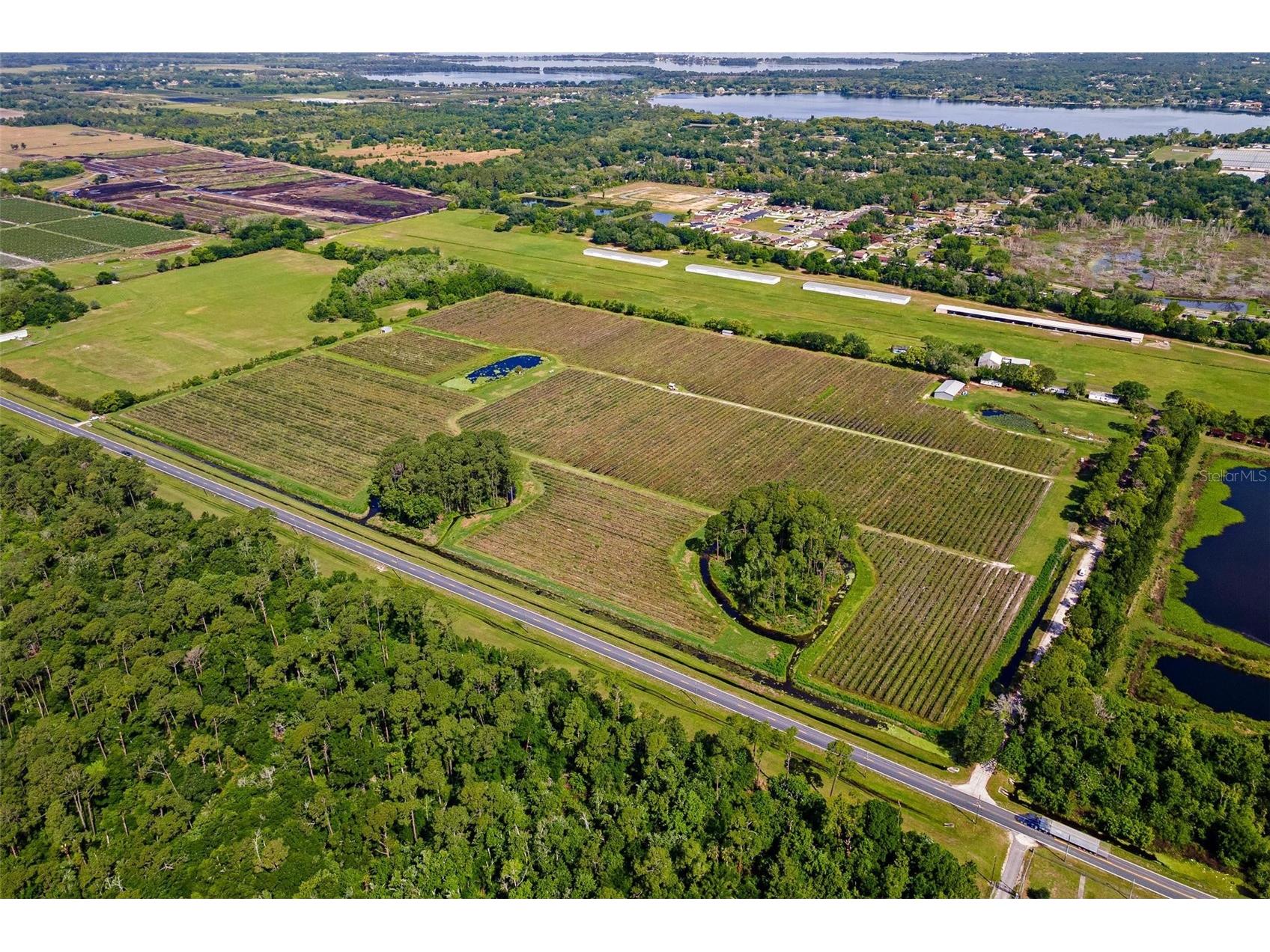 7453 Jones Avenue Mount Dora FL 32757 G5110768 image4