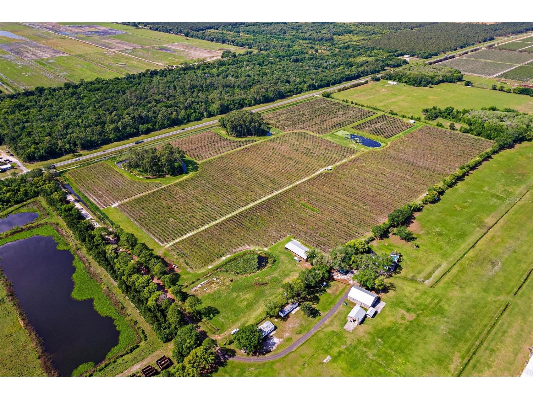7453 Jones Avenue Mount Dora FL 32757 G5110768 image6
