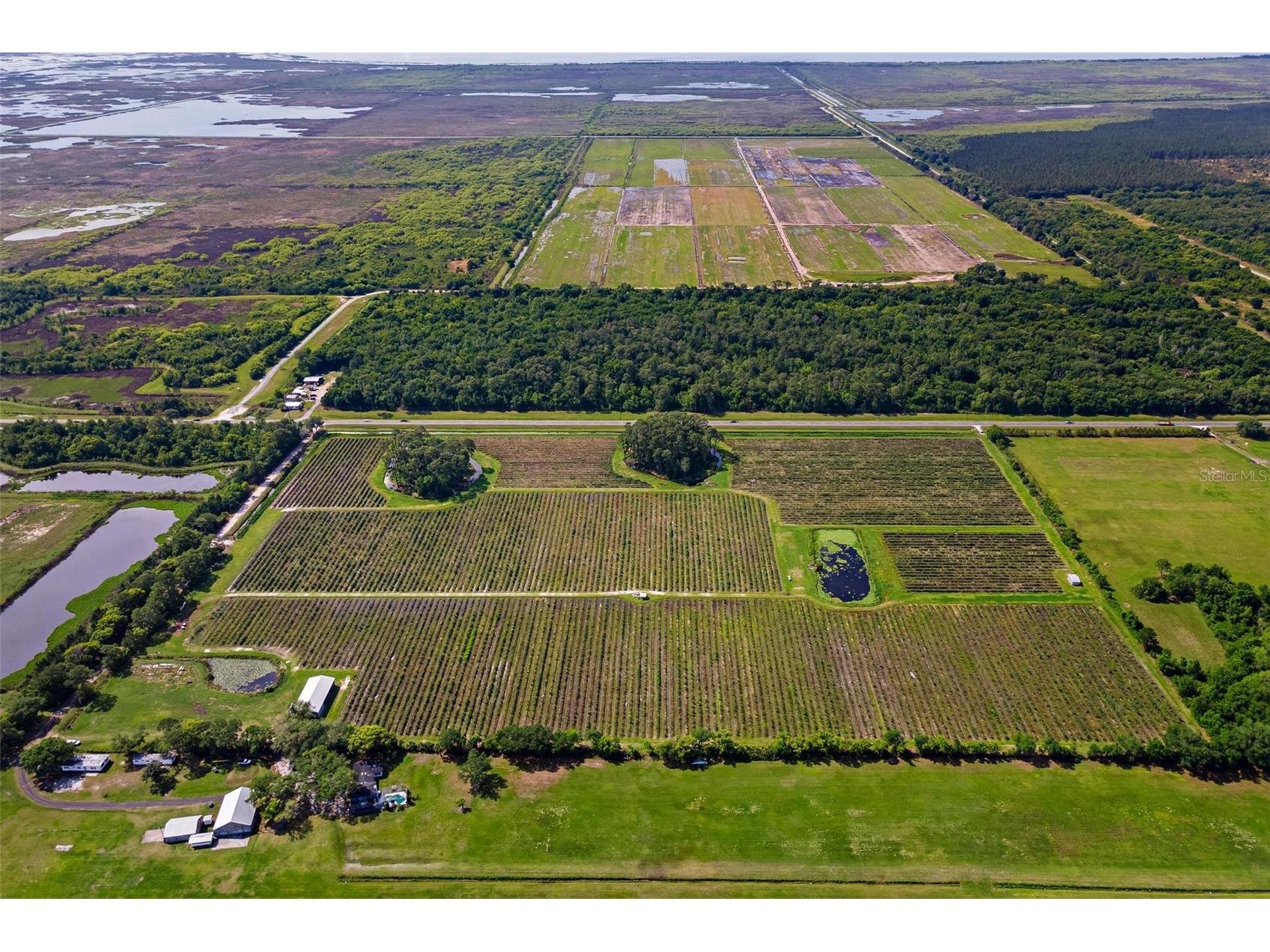 7453 Jones Avenue Mount Dora FL 32757 G5110768 image7