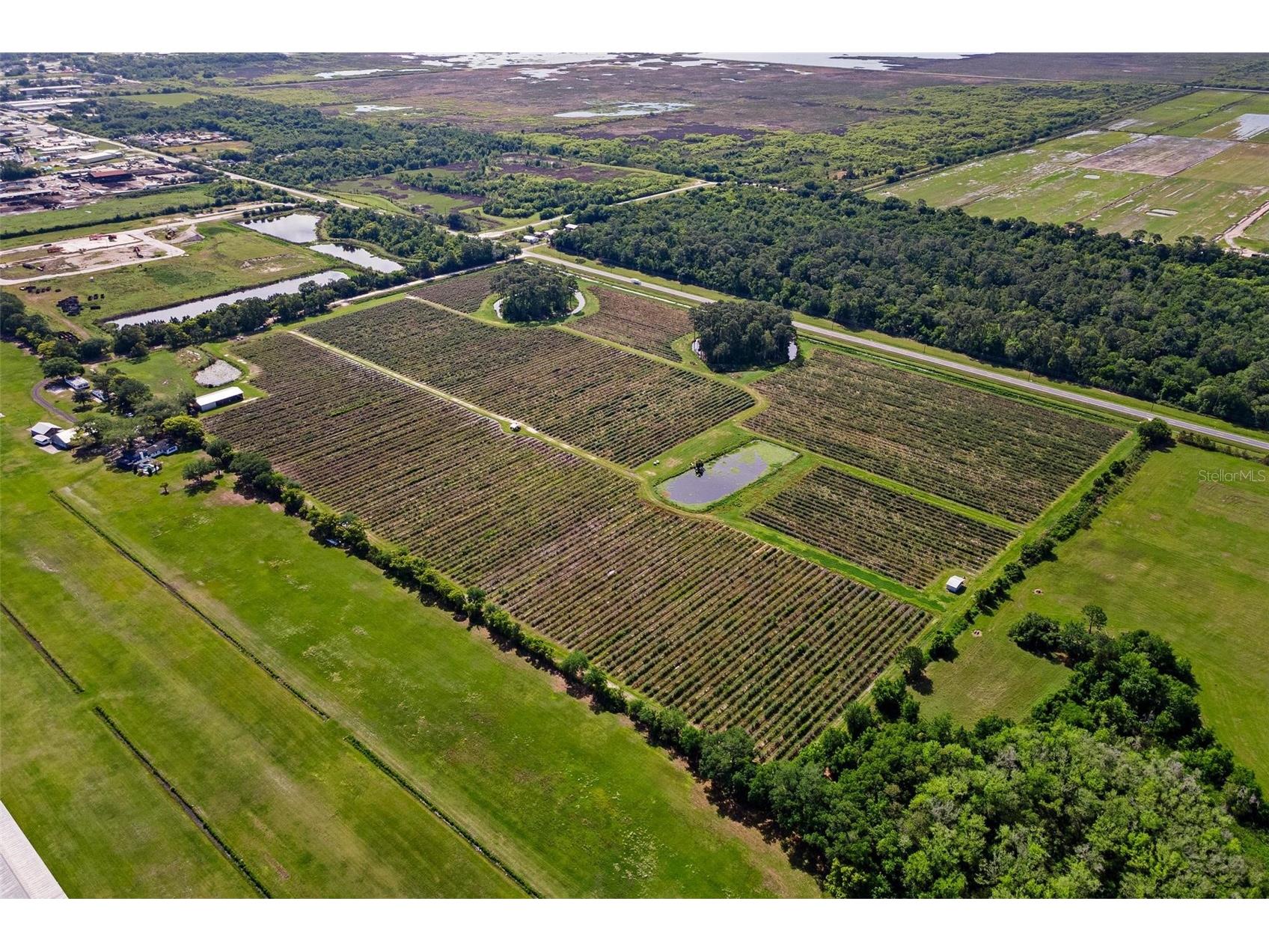 7453 Jones Avenue Mount Dora FL 32757 G5110768 image8