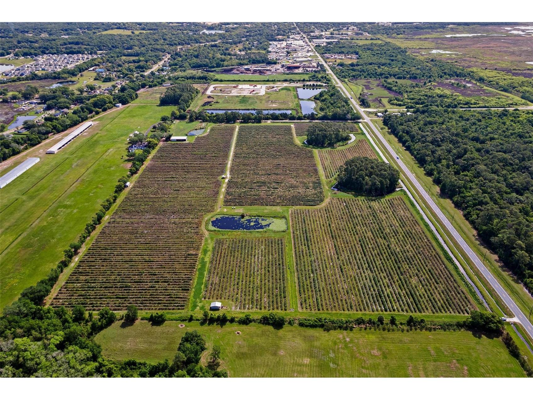 7453 Jones Avenue Mount Dora FL 32757 G5110768 image9