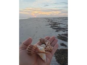 7454 Palm Island Drive #3311 Placida FL 33946 - GULF OF MEXICO C7522136 image72