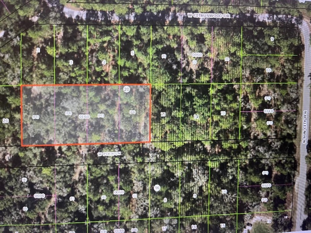 7455 W Pixie Lane Dunnellon FL 34433 OM664046 image1
