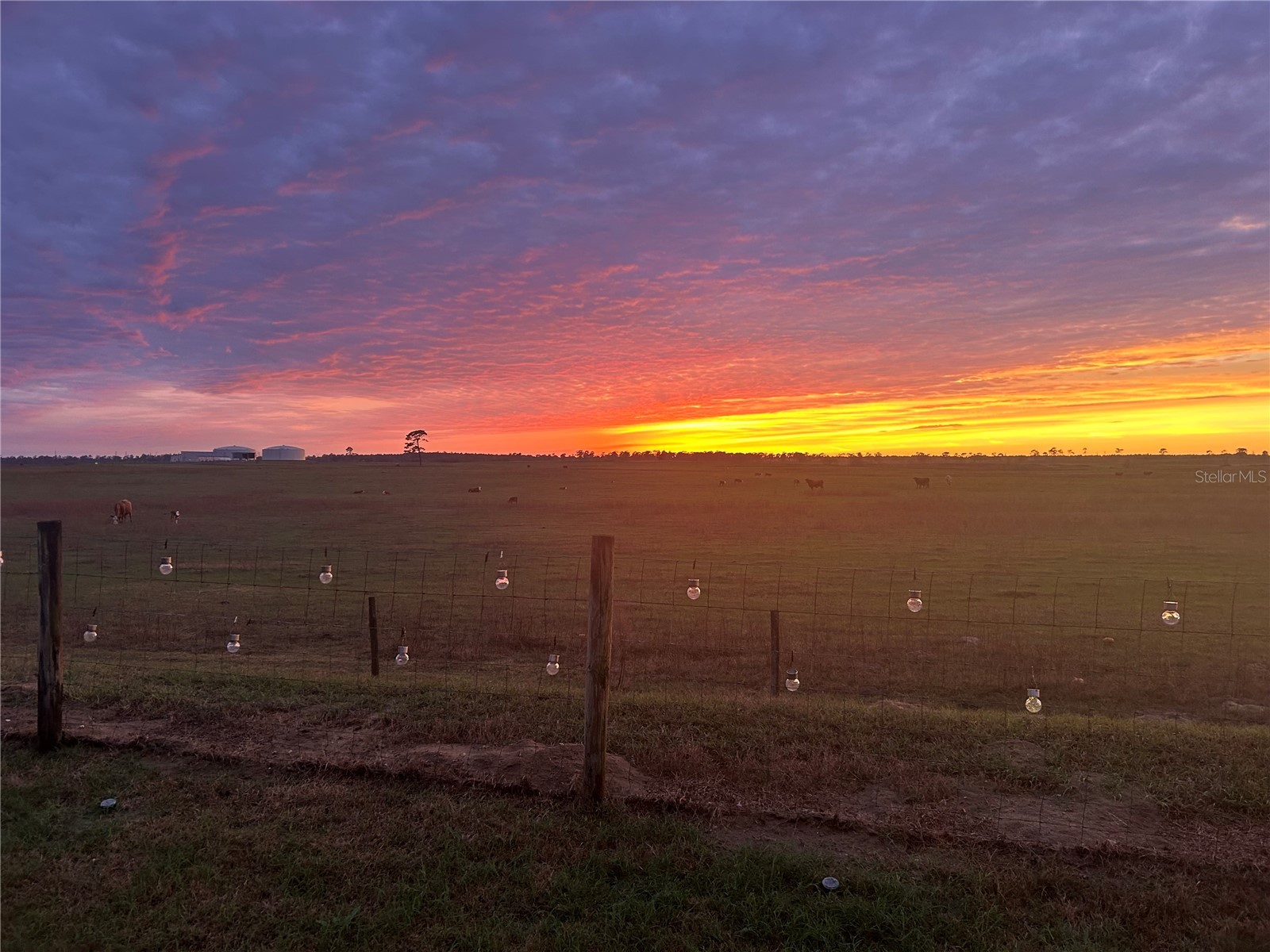 7456 SW 101st Court Ocala FL 34481 OM719539 image18