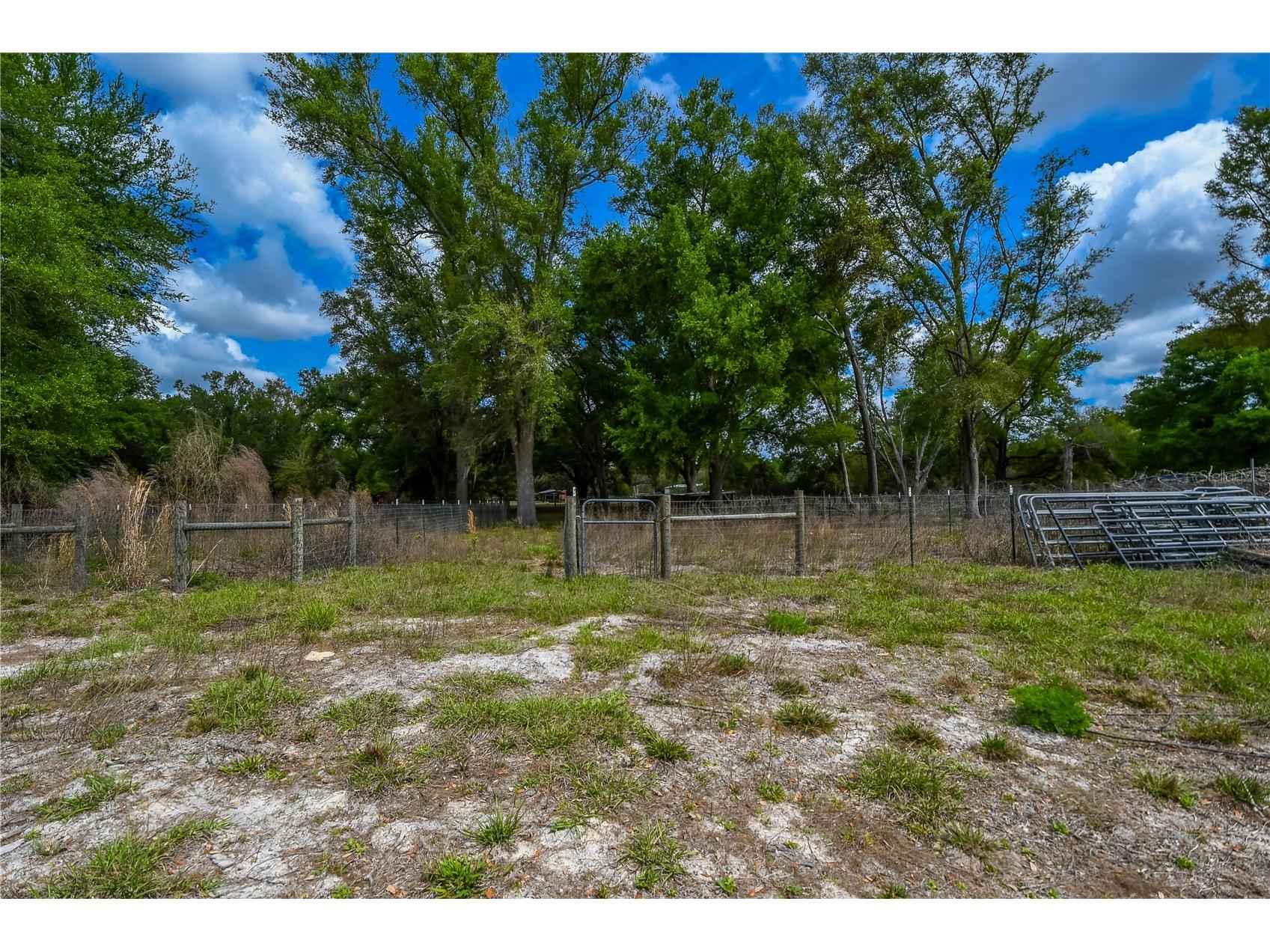 7457 NE Highway 349 Old Town FL 32680 S5153208 image21