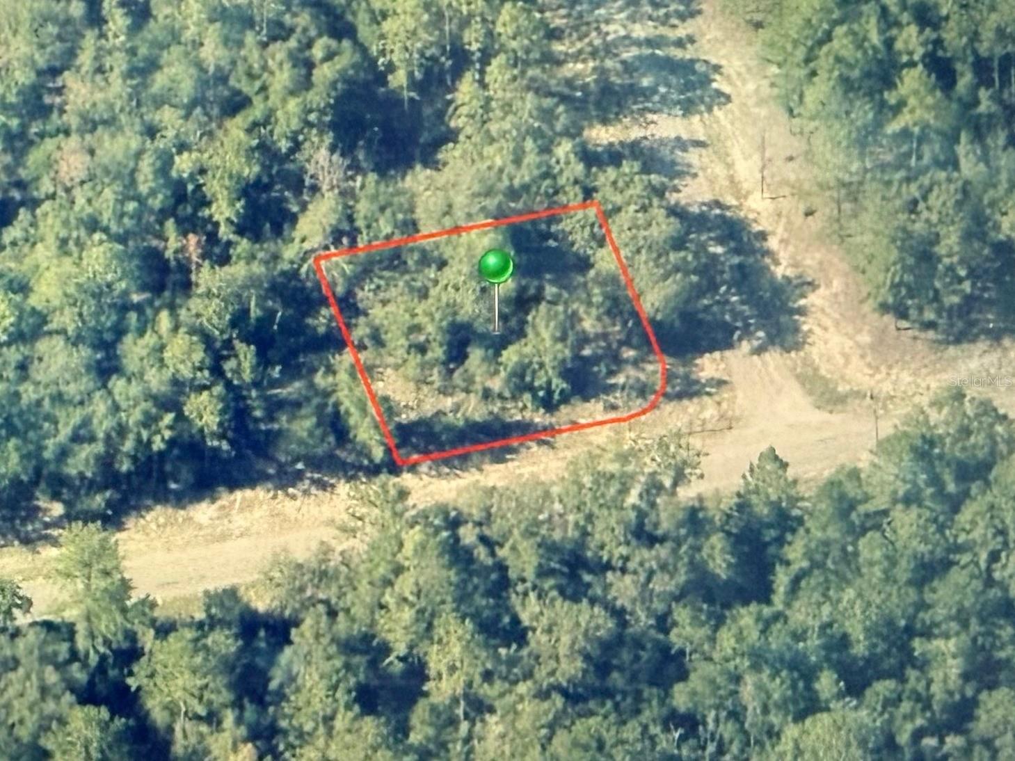 746 E Elston Place Citrus Springs FL 34434 OM720313 image1