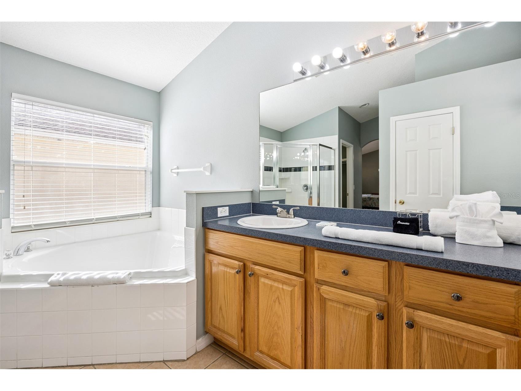 746 Kildrummy Drive Davenport FL 33896 S5141305 image25