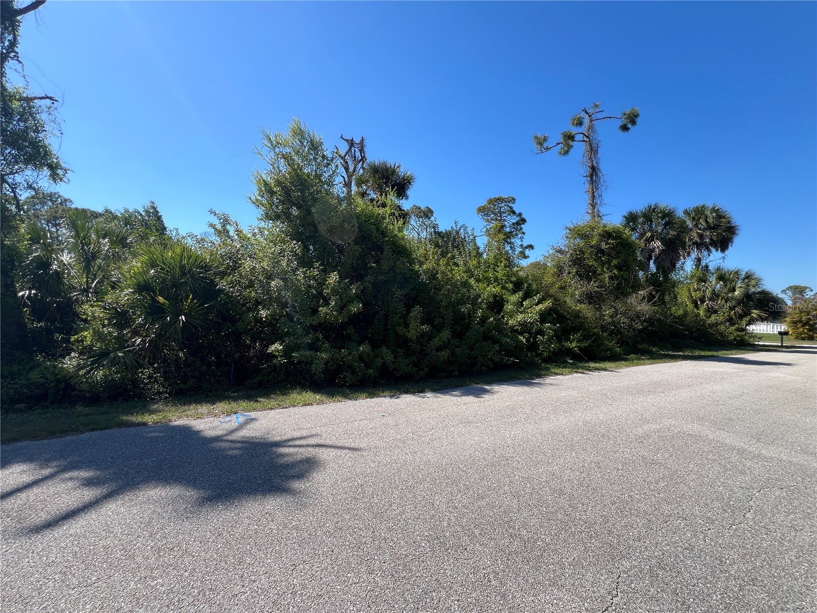 746 Palmetto Street Englewood FL 34223 OM721978 image8
