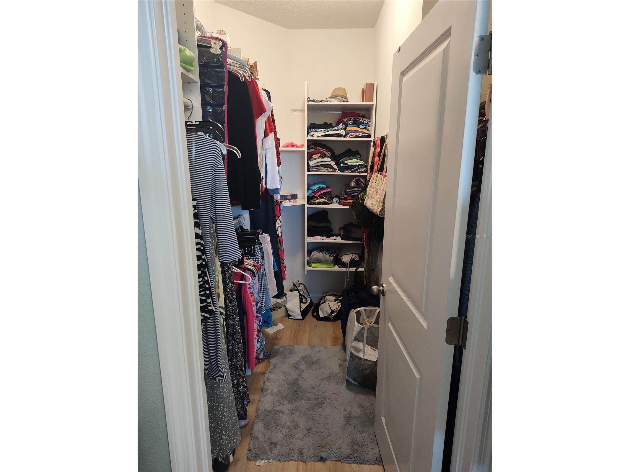 7460 Stonebrook Circle Wesley Chapel FL 33545 TB8489480 image15