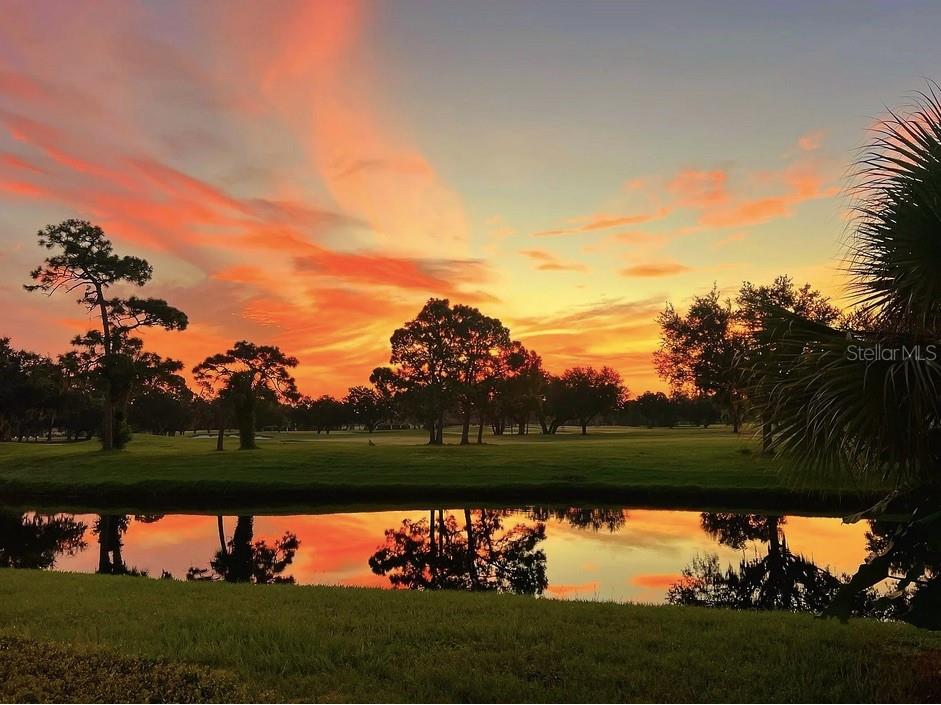 7461 W Country Club Dr. N N #106 Sarasota FL 34243 - RFL A4631704 image1