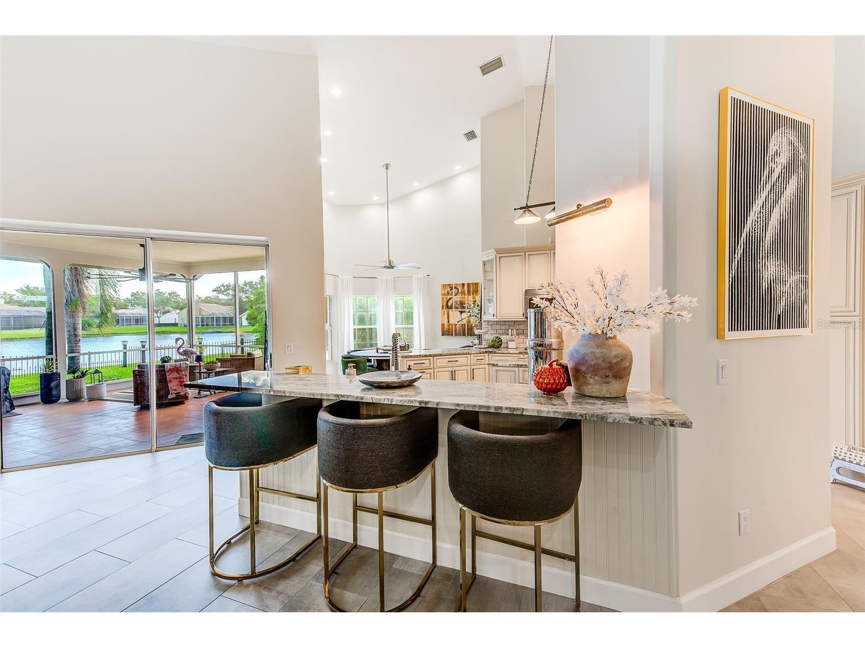 7462 Watersilk Drive N Pinellas Park FL 33782 TB8476831 image21