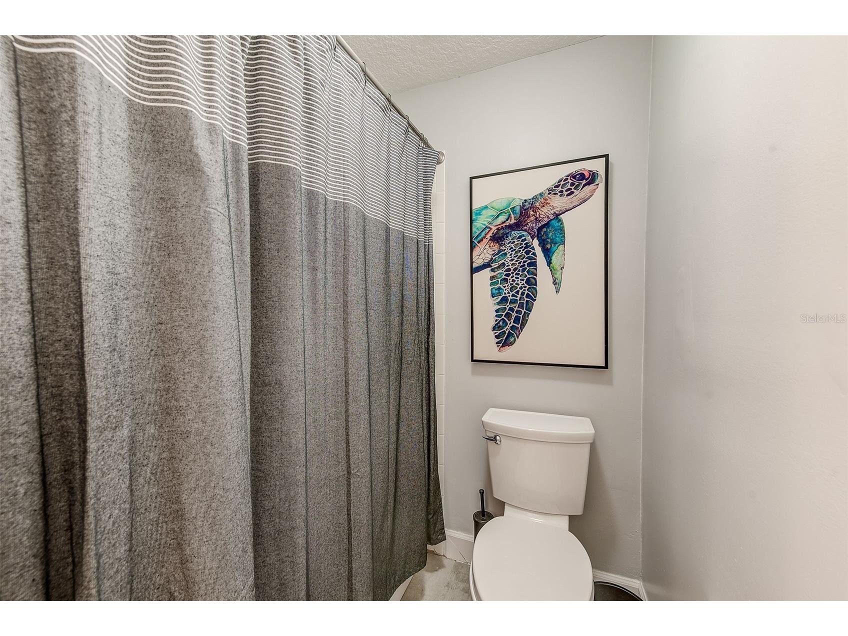 7462 Watersilk Drive N Pinellas Park FL 33782 TB8476831 image36