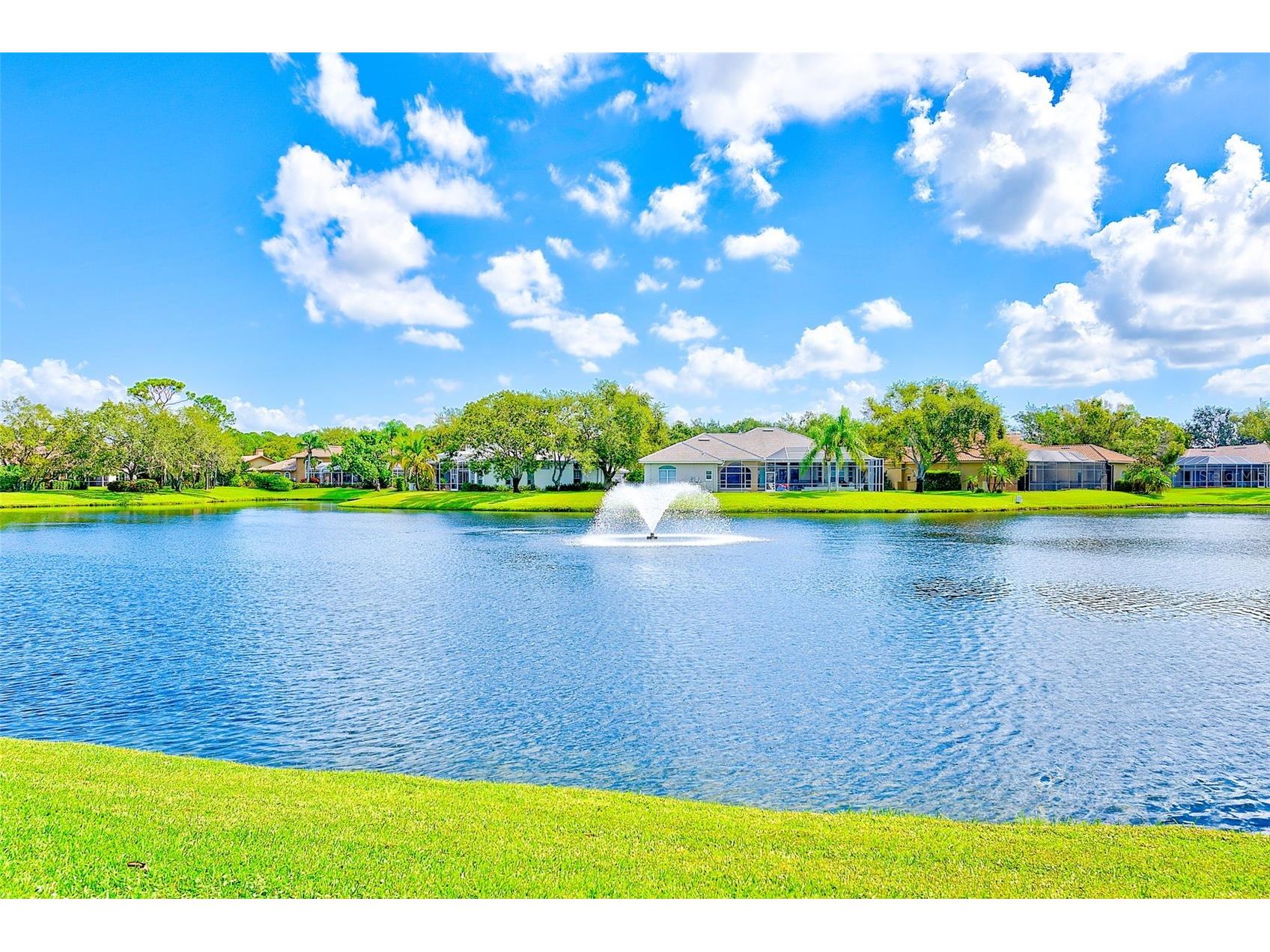 7462 Watersilk Drive N Pinellas Park FL 33782 TB8476831 image42