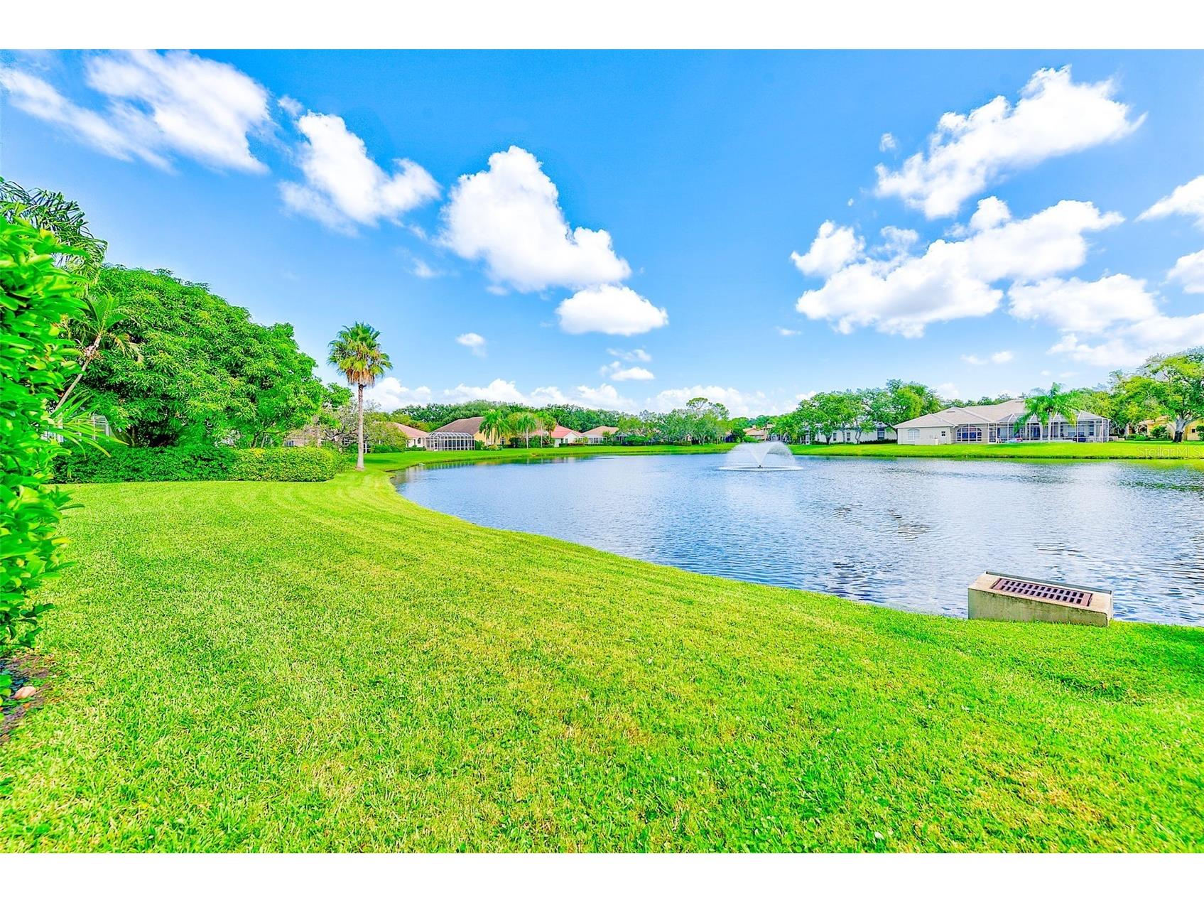 7462 Watersilk Drive N Pinellas Park FL 33782 TB8476831 image46