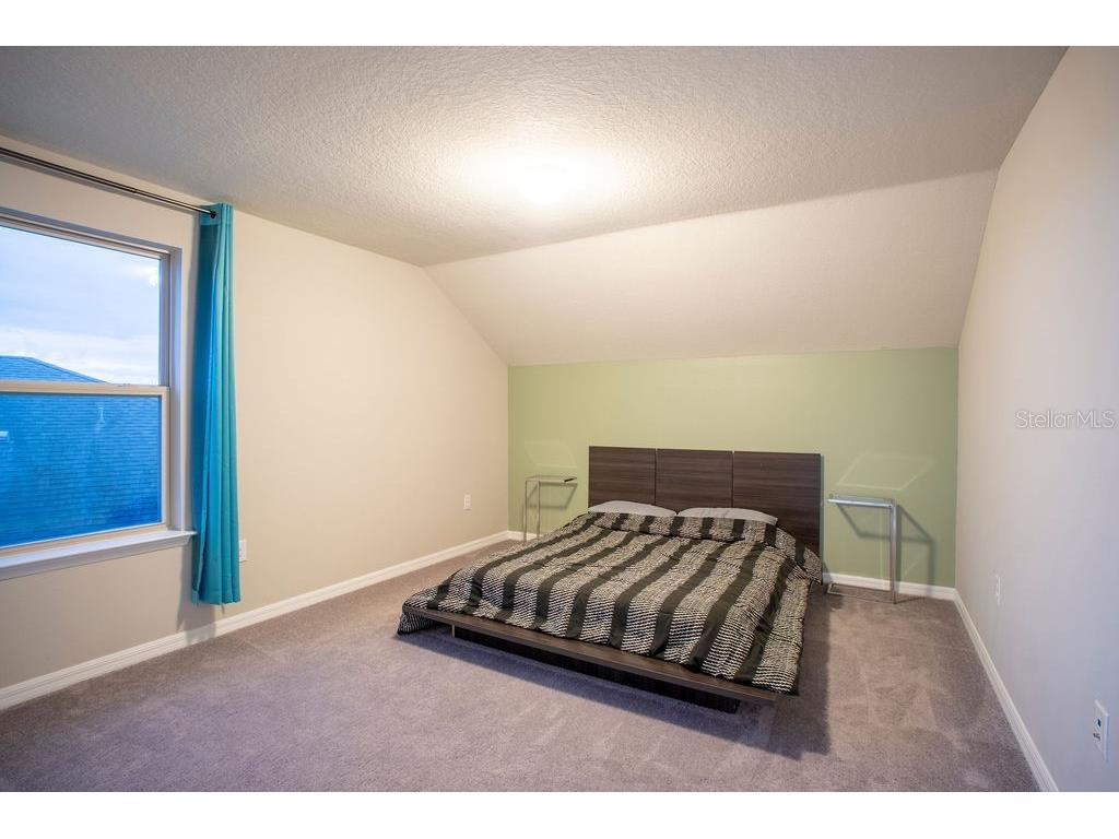 7465 Yale Harbor Drive Wesley Chapel FL 33545 TB8461559 image31