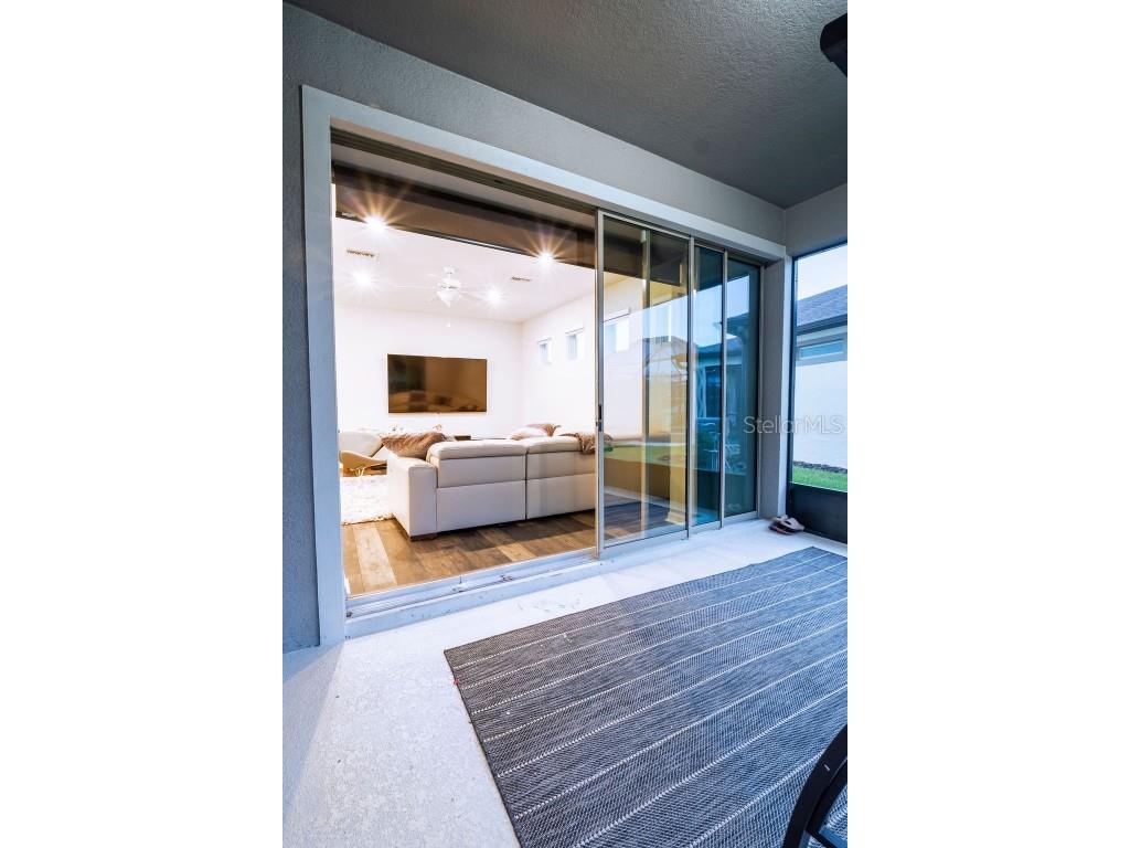 7465 Yale Harbor Drive Wesley Chapel FL 33545 TB8461559 image43