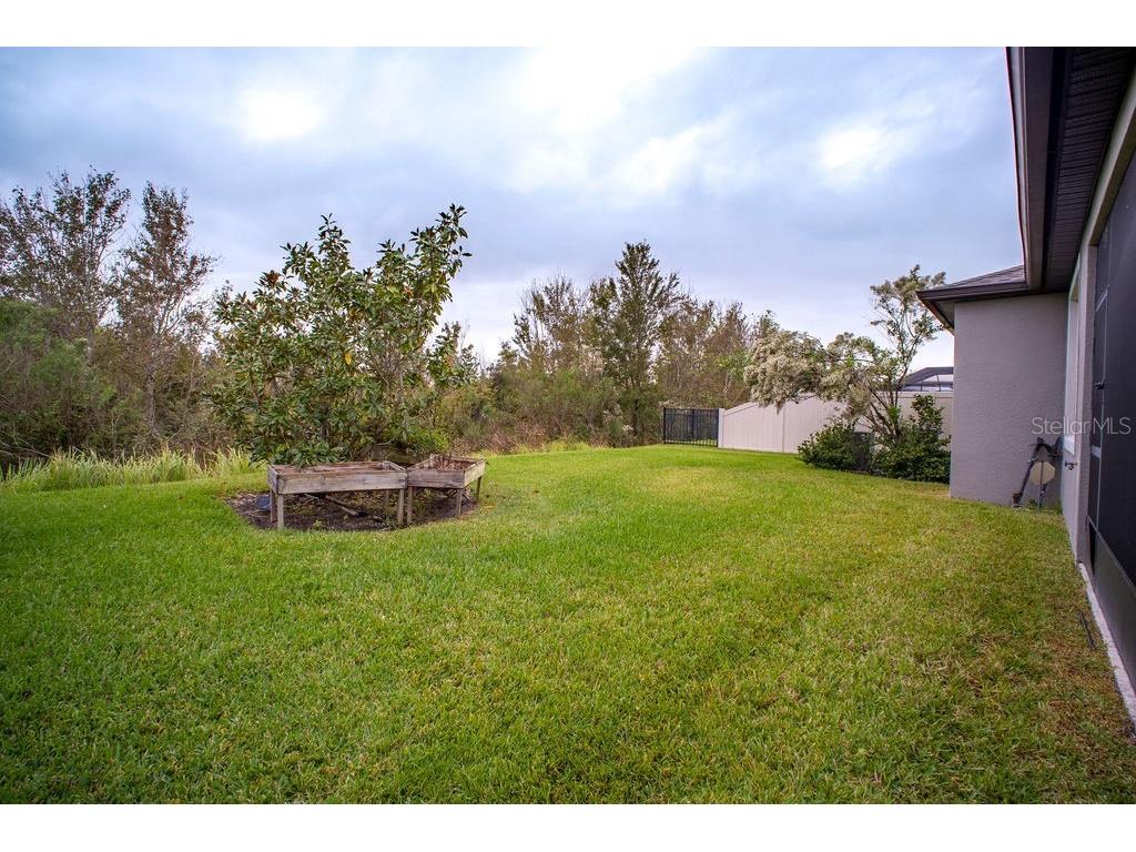 7465 Yale Harbor Drive Wesley Chapel FL 33545 TB8461559 image45