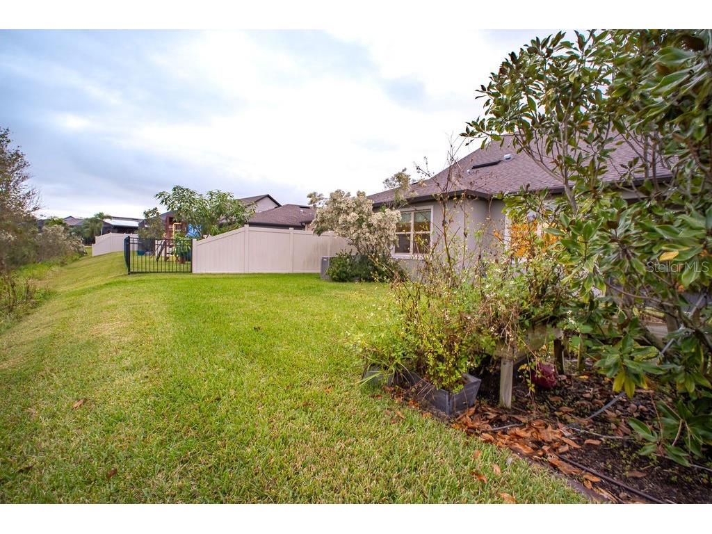 7465 Yale Harbor Drive Wesley Chapel FL 33545 TB8461559 image47