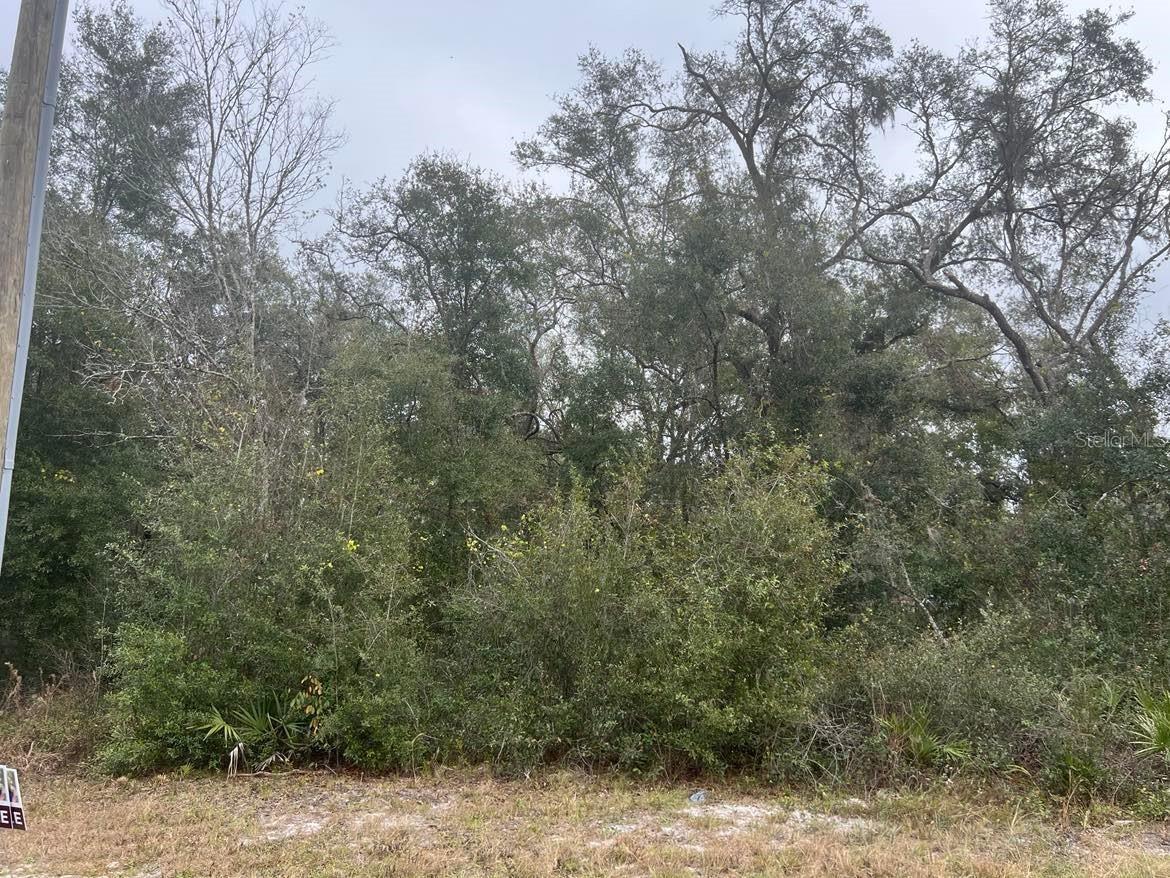 7466 Treiman Boulevard Webster FL 33597 TB8478627 image3