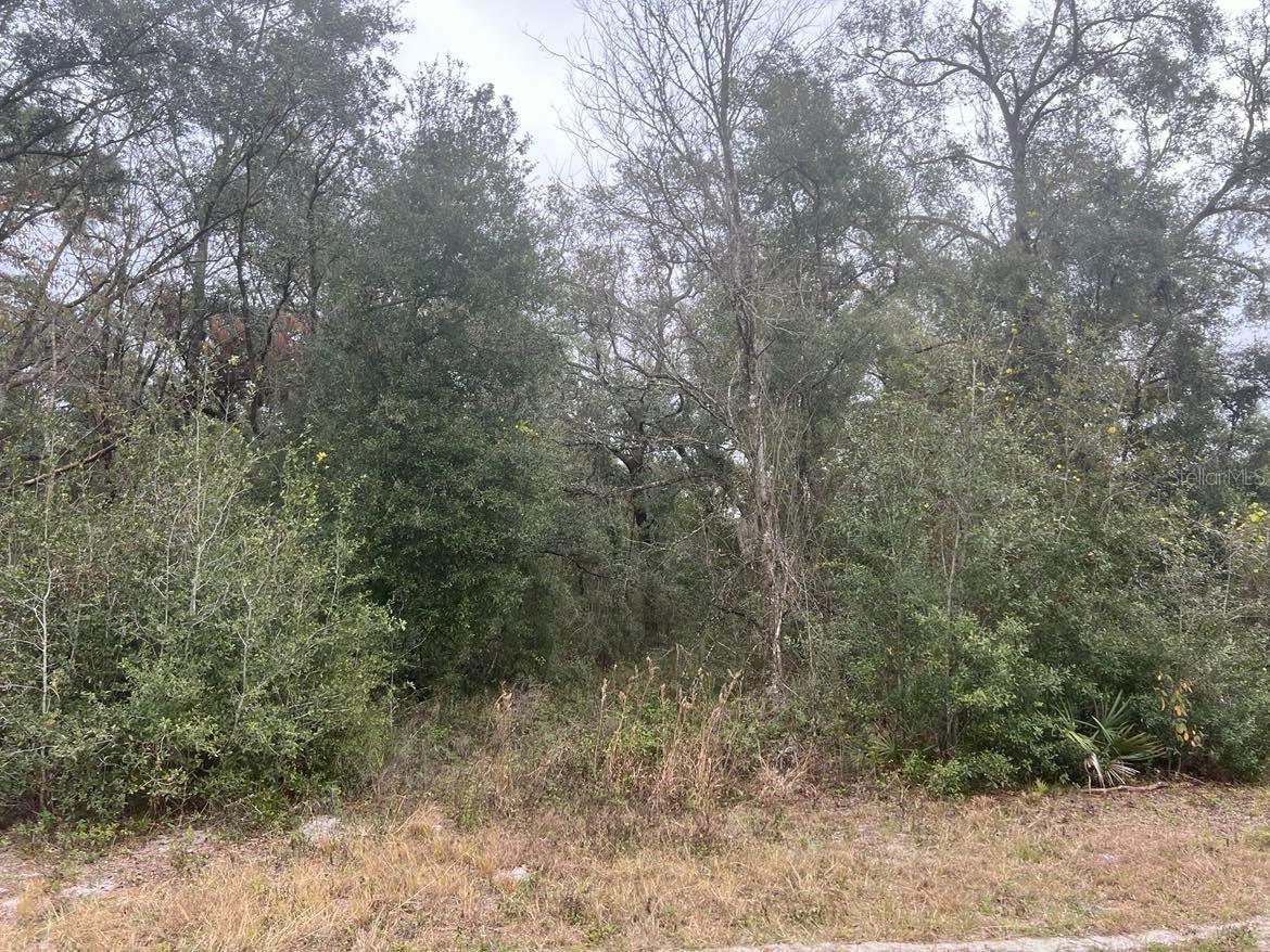 7466 Treiman Boulevard Webster FL 33597 TB8478627 image5