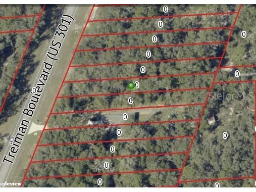 7466 Treiman Boulevard Webster FL 33597 TB8478627 image6