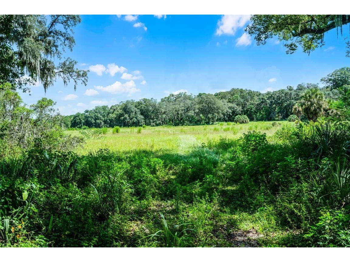 7466 Vivian Lane Orlando FL 32818 O6337045 image3