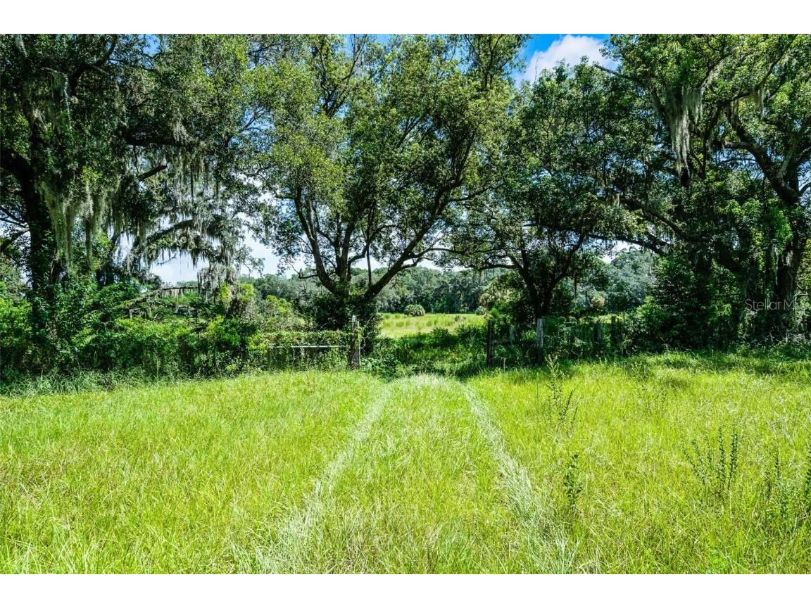 7466 Vivian Lane Orlando FL 32818 O6339244 image2