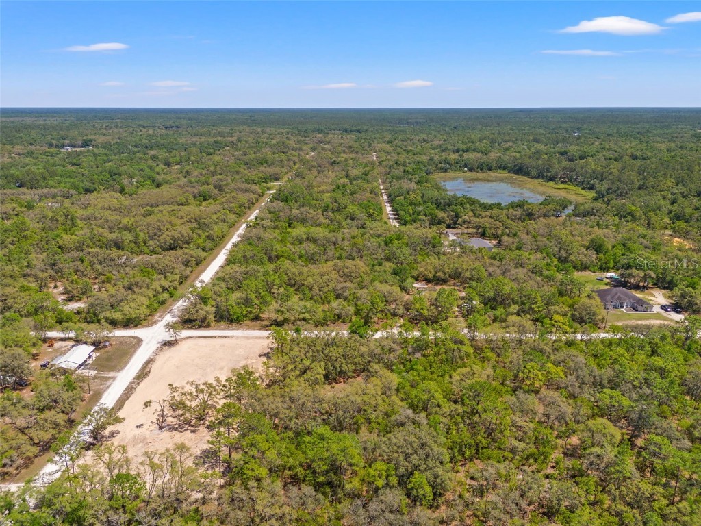 7467 Atwood Drive Webster FL 33597 TB8372393 image4