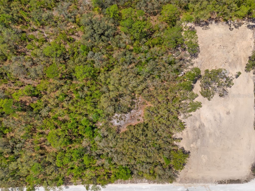 7467 Atwood Drive Webster FL 33597 TB8372393 image5