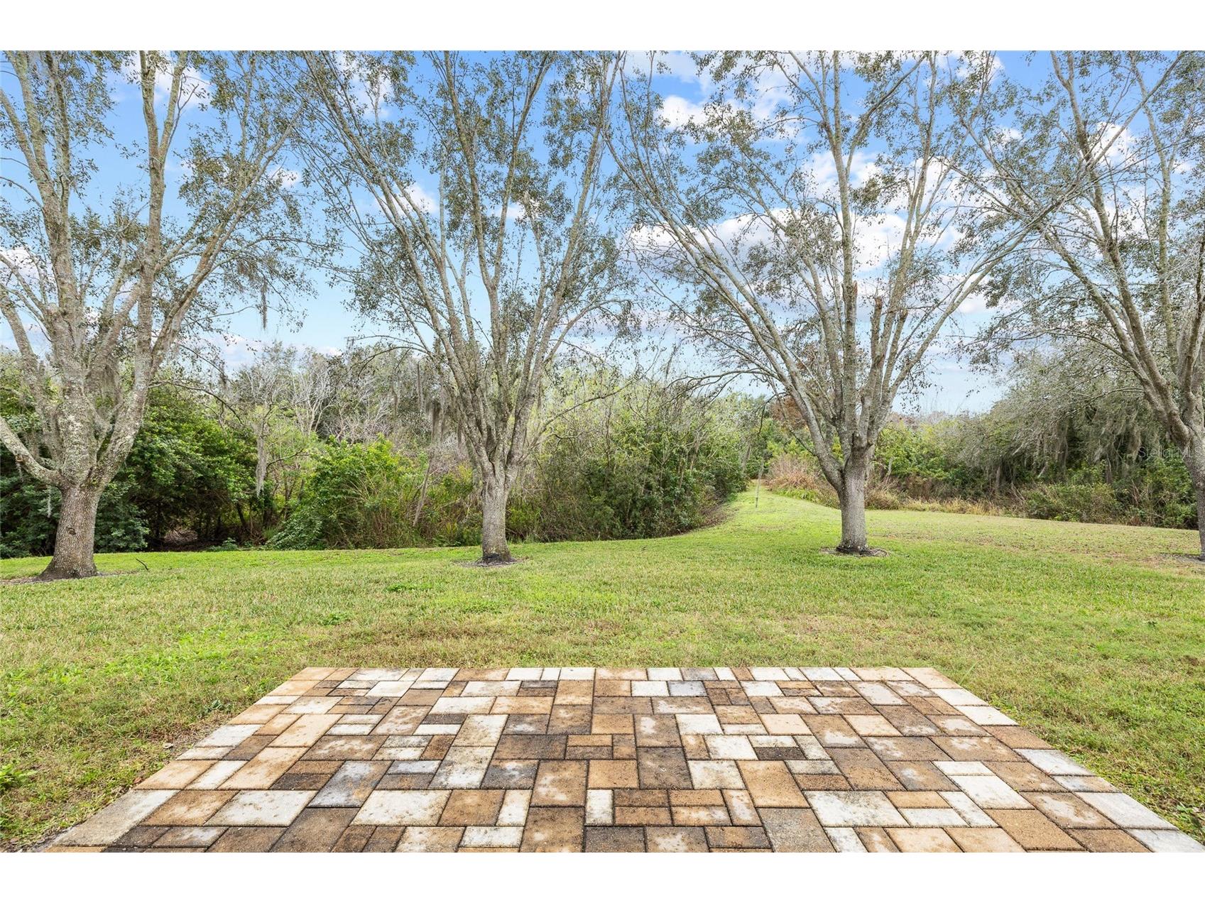 7467 Terrace River Drive Temple Terrace FL 33637 - HILLSBOROUGH RIVER TB8465582 image33