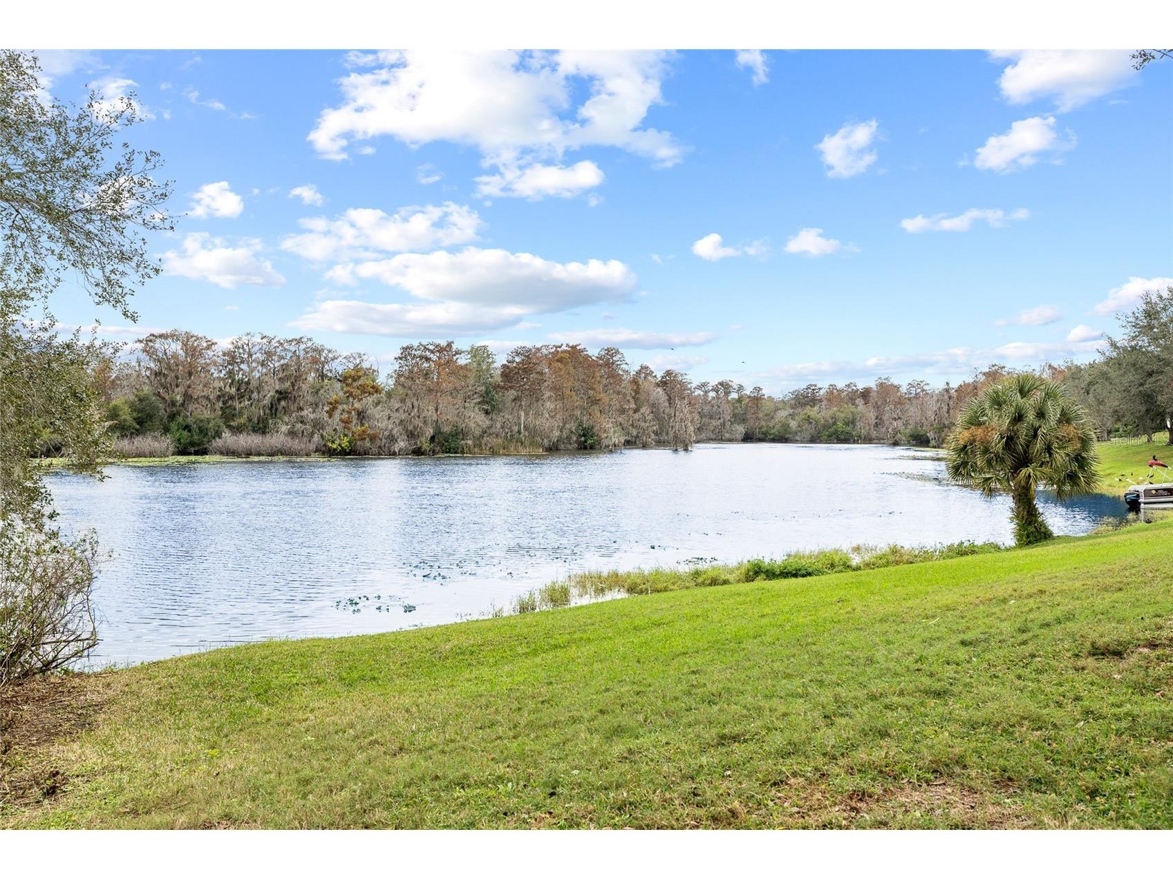 7467 Terrace River Drive Temple Terrace FL 33637 - HILLSBOROUGH RIVER TB8465582 image42