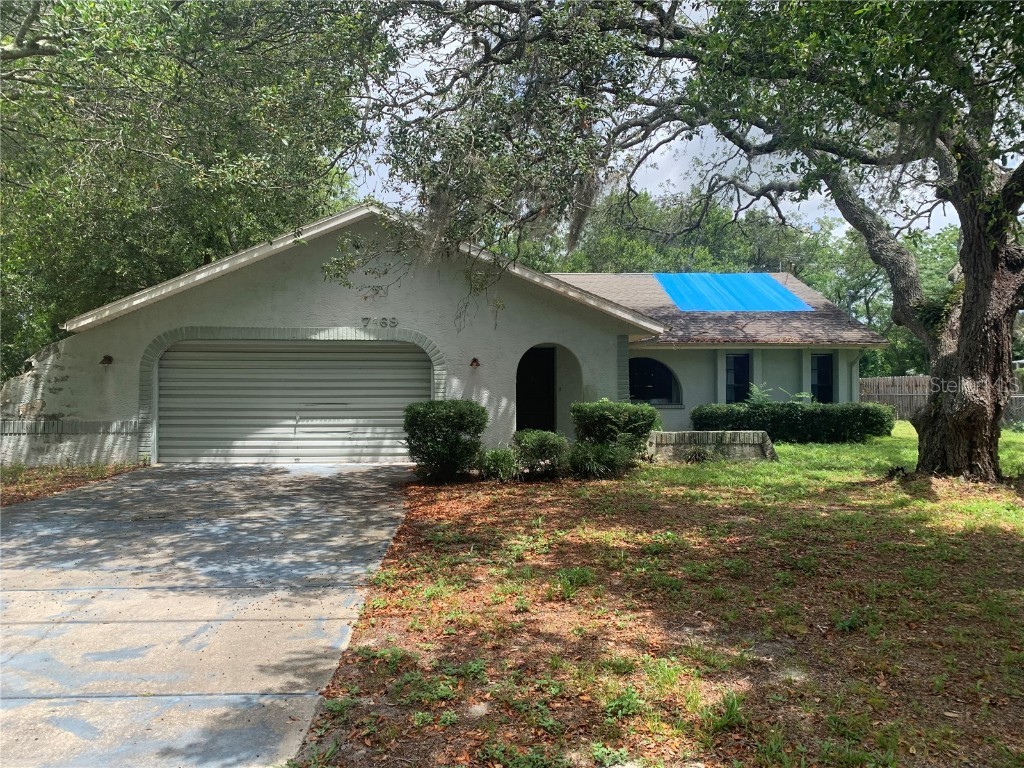 7469 Tranquil Drive Spring Hill FL 34606 O6117230 image1