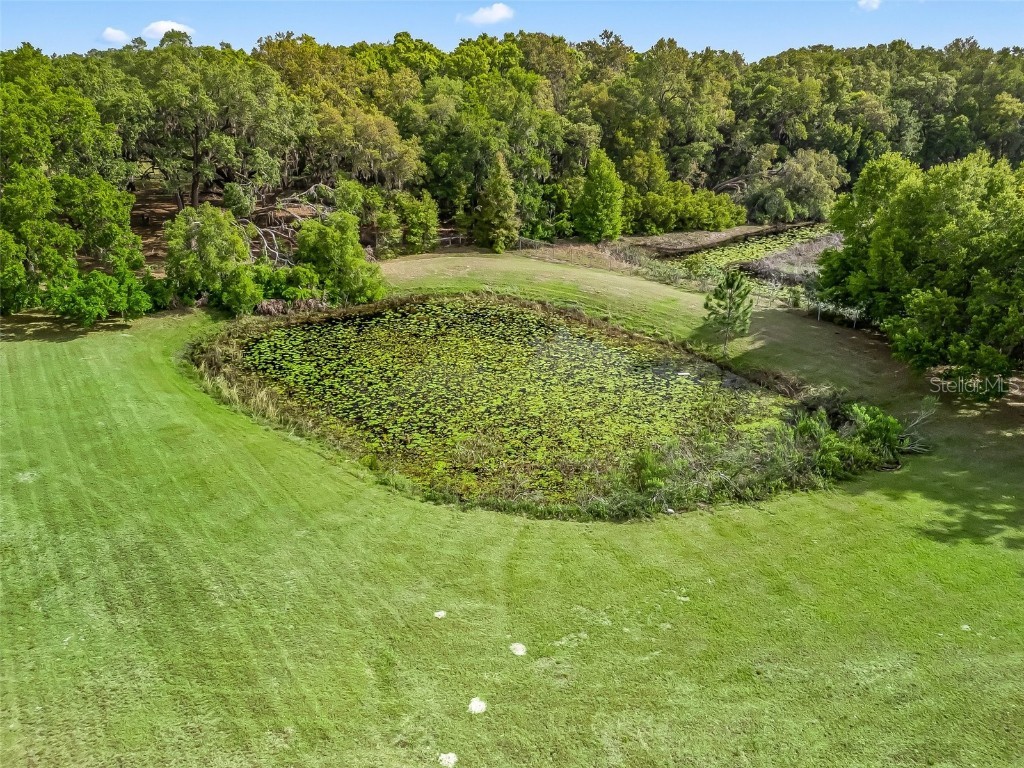 747 & 803 County Road 466a Fruitland Park FL 34731 G5094182 image18