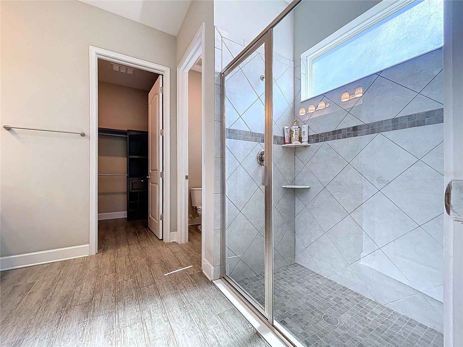 747 Cajeput Loop Tarpon Springs FL 34689 W7882074 image36