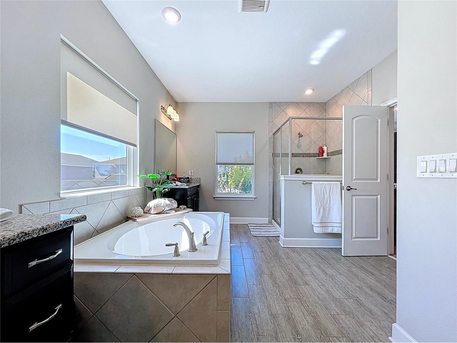 747 Cajeput Loop Tarpon Springs FL 34689 W7882074 image54
