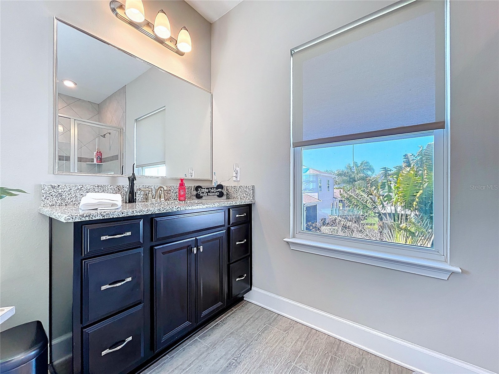 747 Cajeput Loop Tarpon Springs FL 34689 W7882074 image56