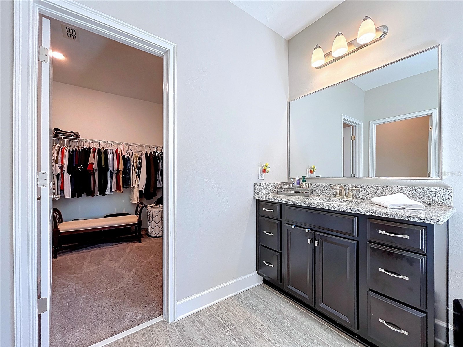 747 Cajeput Loop Tarpon Springs FL 34689 W7882074 image58