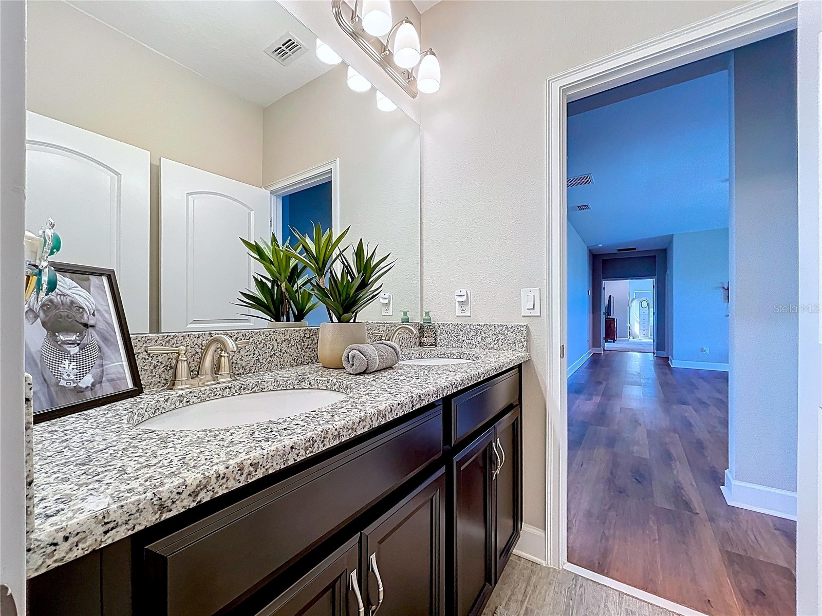 747 Cajeput Loop Tarpon Springs FL 34689 W7882074 image70